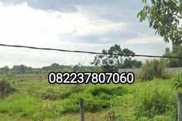 Jarang Ada! Tanah di Banyuwangi Punya Luas 45000m2 - Jarang Ada! Tanah di Banyuwangi Punya Luas 45000m2 -