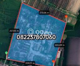 Tanah Komersial Disewakan di Wonoayu Sidoarjo Seluas 48000m2 Tanah Komersial Disewakan di Wonoayu Sidoarjo Seluas 48000m2