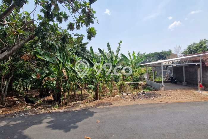 Lahan Kosong Dijual di Ngaliyan, Semarang, Luas 259m2 Area Strategis Lahan Kosong Dijual di Ngaliyan, Semarang, Luas 259m2 Area Strategis