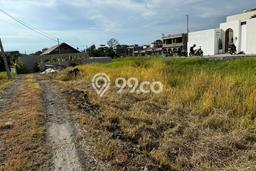 Tanah Disewakan Lokasi Badung Seluas 1500m2 Strategis dan Aman Tanah Disewakan Lokasi Badung Seluas 1500m2 Strategis dan Aman