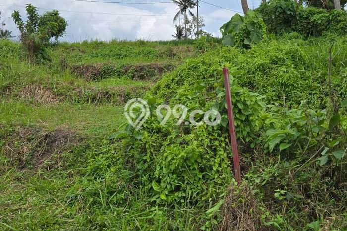 Tanah Lokasi Strategis di Beraban, Luas 1700m², Dekat ke Pusat Kota, Dekat Beraban, Tabanan, Tabanan Tanah Lokasi Strategis di Beraban, Luas 1700m², Dekat ke Pusat Kota, Dekat Beraban, Tabanan, Tabanan
