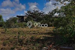 Tanah Dijual Lokasi Strategis di Badung dengan Luas 2621m2 Tanah Dijual Lokasi Strategis di Badung dengan Luas 2621m2