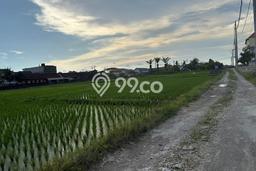 Disewakan Tanah di Badung, Luas 500m2 Area Berkembang Disewakan Tanah di Badung, Luas 500m2 Area Berkembang