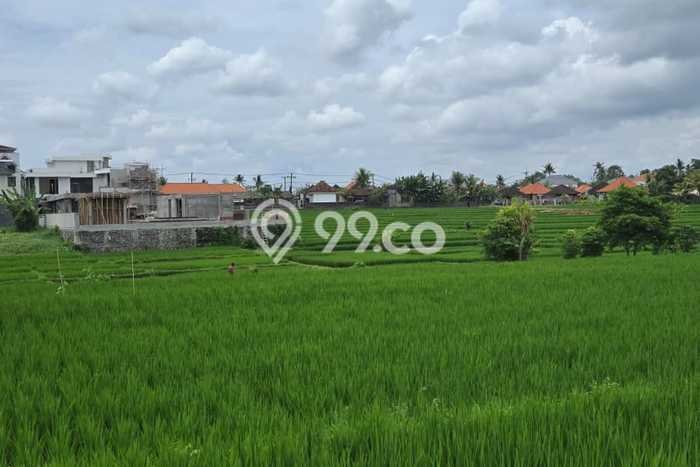 Tanah Kawasan Beraban, Luas 1200m², Dekat Jalan Raya, Area Prospektif Tanah Kawasan Beraban, Luas 1200m², Dekat Jalan Raya, Area Prospektif