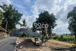 HARGA MENARIK! Tanah di Ubud, Luas 10000m2m², Kawasan Berkembang, Bebas Banjir HARGA MENARIK! Tanah di Ubud, Luas 10000m2m², Kawasan Berkembang, Bebas Banjir