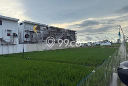 Tanah Disewakan Lokasi Cemagi Badung Luas 1300m2 Tanah Disewakan Lokasi Cemagi Badung Luas 1300m2