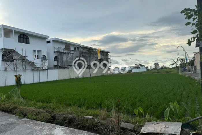 Tanah Disewakan Lokasi Cemagi Badung Luas 1300m2 Tanah Disewakan Lokasi Cemagi Badung Luas 1300m2