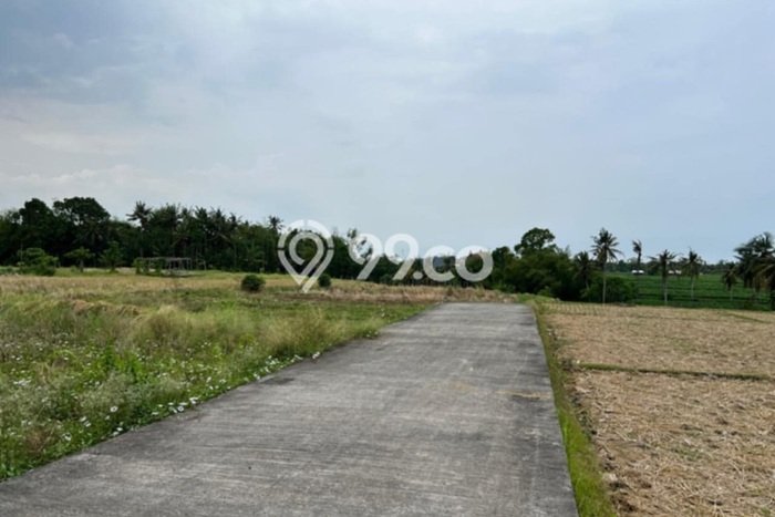 Tanah Investasi Dijual di Tabanan Punya Luas 500m2 Tanah Investasi Dijual di Tabanan Punya Luas 500m2