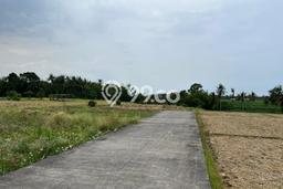 Tanah Investasi Dijual di Tabanan Punya Luas 500m2 Tanah Investasi Dijual di Tabanan Punya Luas 500m2