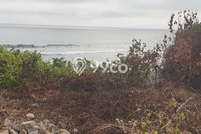 Tanah Dijual di Tabanan Seluas 7500m2 Strategis Tanah Dijual di Tabanan Seluas 7500m2 Strategis