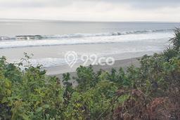Tanah Dijual di Tabanan Seluas 7500m2 Strategis Tanah Dijual di Tabanan Seluas 7500m2 Strategis
