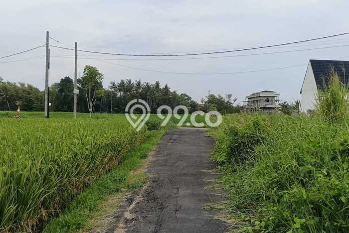 Dijual Tanah Lokasi Kedungu, Tabanan Seluas 250m2 Dijual Tanah Lokasi Kedungu, Tabanan Seluas 250m2