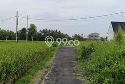 Dijual Tanah Lokasi Kedungu, Tabanan Seluas 250m2 Dijual Tanah Lokasi Kedungu, Tabanan Seluas 250m2