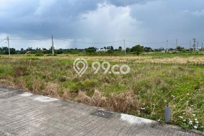 Tanah Investasi Dijual di Tabanan Punya Luas 500m2 Tanah Investasi Dijual di Tabanan Punya Luas 500m2