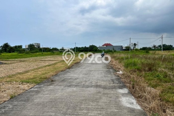 Tanah Investasi Dijual di Tabanan Punya Luas 500m2 Tanah Investasi Dijual di Tabanan Punya Luas 500m2