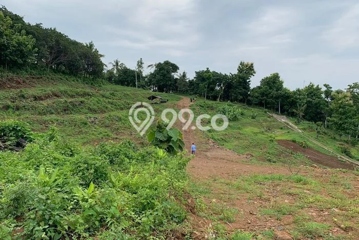 Lahan untuk Dijual di Banjar Buleleng Luas 8265m2 Lahan untuk Dijual di Banjar Buleleng Luas 8265m2