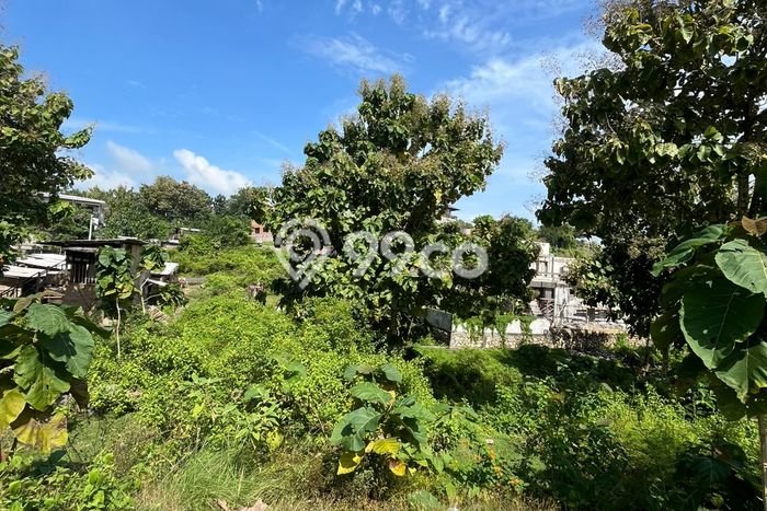 Lahan Kosong Dijual di Badung dengan Area 1077m2 Lahan Kosong Dijual di Badung dengan Area 1077m2