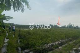 Dijual Tanah Area Premium Kawasan Kelating, Luas 1000m², Ideal untuk Pengembangan Dijual Tanah Area Premium Kawasan Kelating, Luas 1000m², Ideal untuk Pengembangan