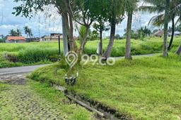 Tanah Dijual Lokasi Ubud Gianyar SHM Tanah Dijual Lokasi Ubud Gianyar SHM