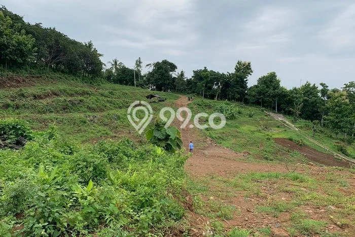 Lahan untuk Dijual di Banjar Buleleng Luas 8265m2 Lahan untuk Dijual di Banjar Buleleng Luas 8265m2