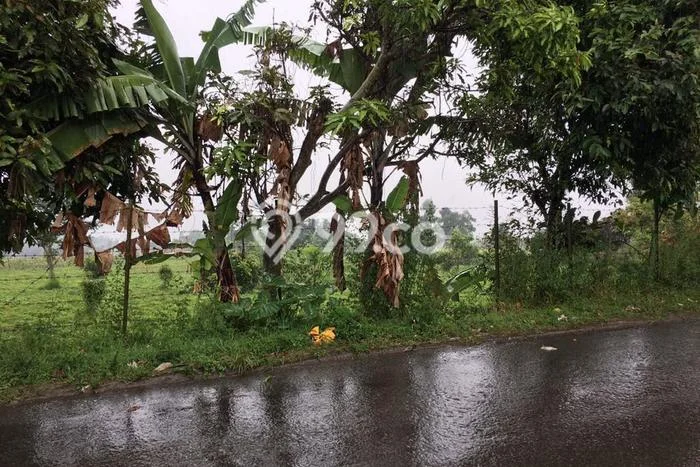 Kavling Tanah di Ciwidey Dijual Luas 4640m2 Legalitas SHM Kavling Tanah di Ciwidey Dijual Luas 4640m2 Legalitas SHM