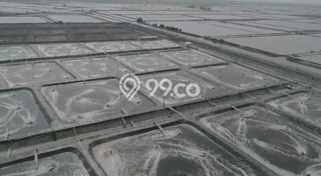 Kavling Tanah Dijual di Karawang Barat Karawang Spesifikasi 180000m2 Kavling Tanah Dijual di Karawang Barat Karawang Spesifikasi 180000m2