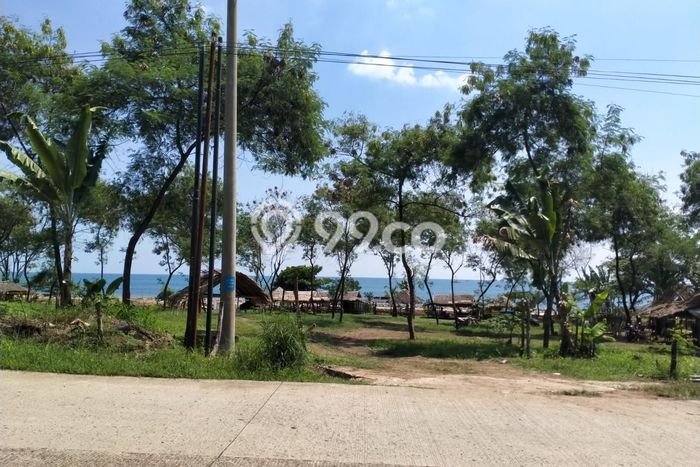 Tanah Kawasan Tanjung Lesung, Luas 43000m², Area Potensial, Lingkungan Nyaman, Kontur Datar Tanah Kawasan Tanjung Lesung, Luas 43000m², Area Potensial, Lingkungan Nyaman, Kontur Datar