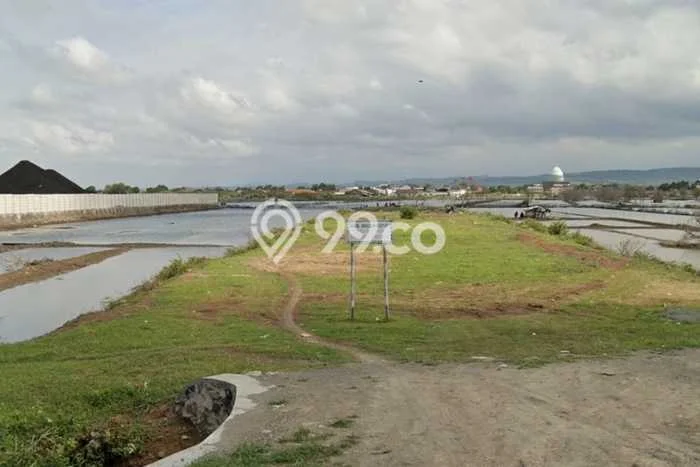 Tanah untuk Dijual Lokasi Kaliwungu, Kendal Luas 5499m2 SHM Tanah untuk Dijual Lokasi Kaliwungu, Kendal Luas 5499m2 SHM