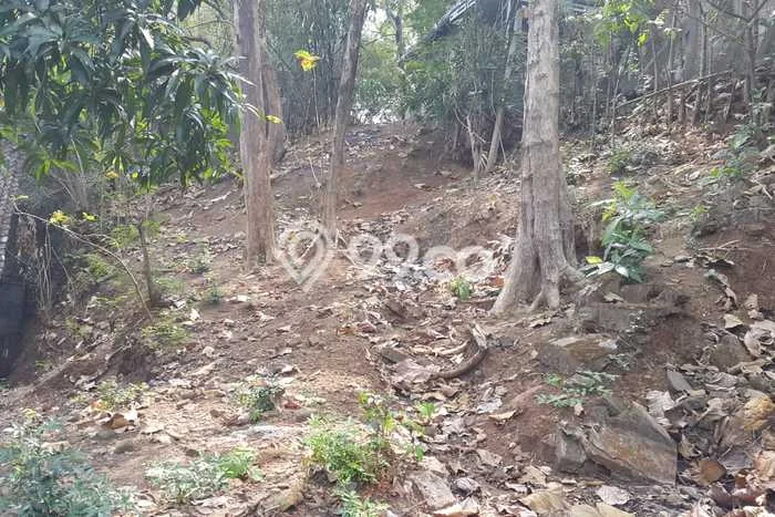 Kavling Tanah di Jepara Dijual Luas 262m2 Legalitas SHM Kavling Tanah di Jepara Dijual Luas 262m2 Legalitas SHM