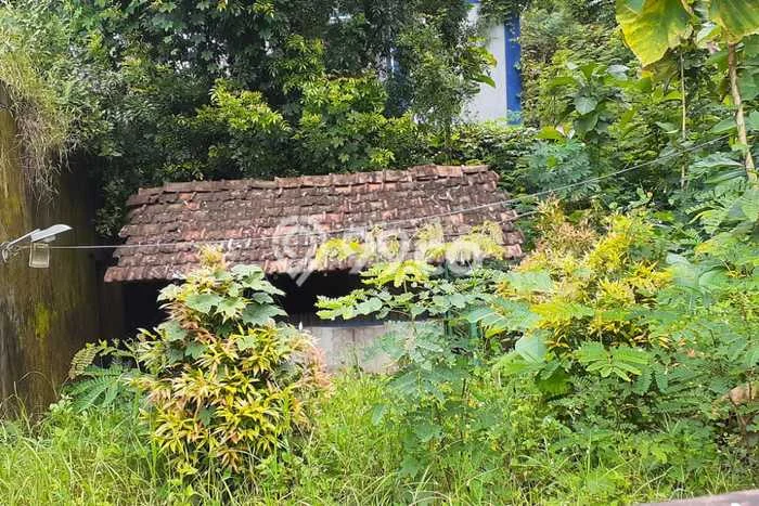 Kavling Tanah di Jepara Dijual Luas 262m2 Legalitas SHM Kavling Tanah di Jepara Dijual Luas 262m2 Legalitas SHM