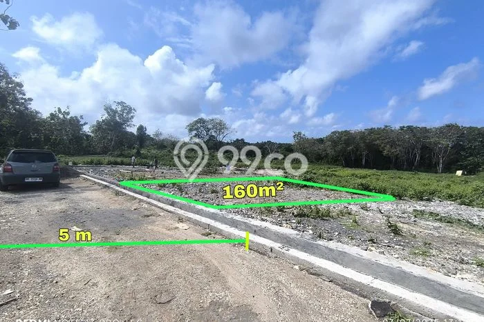 Dijual Tanah Kawasan Nusa Dua, Luas 160m², Area Berkembang Dijual Tanah Kawasan Nusa Dua, Luas 160m², Area Berkembang
