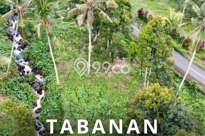 Tanah untuk Dijual Lokasi Tabanan, Tabanan Luas 4000m2 SHM Tanah untuk Dijual Lokasi Tabanan, Tabanan Luas 4000m2 SHM