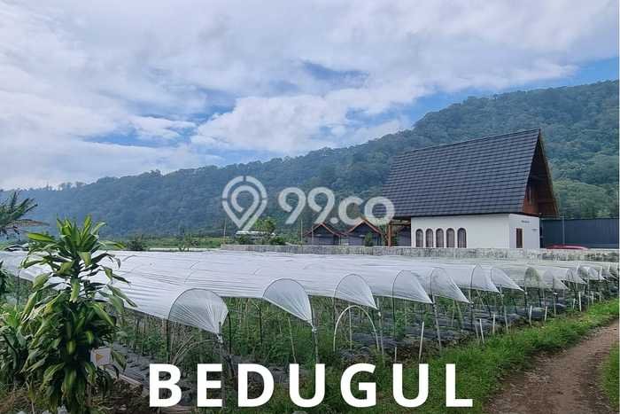 Tanah Kavling Dijual di Tabanan dengan Spesifikasi 500m2 Tanah Kavling Dijual di Tabanan dengan Spesifikasi 500m2