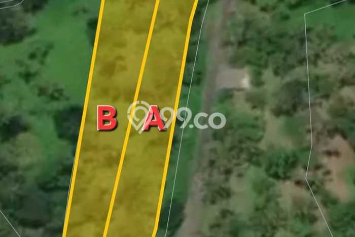 Tanah untuk Dijual Lokasi Tabanan, Tabanan Luas 4000m2 SHM Tanah untuk Dijual Lokasi Tabanan, Tabanan Luas 4000m2 SHM