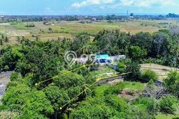 Tanah Dijual Lokasi Strategis di Badung dengan Luas 1750m2 Tanah Dijual Lokasi Strategis di Badung dengan Luas 1750m2