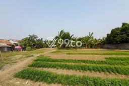 Tanah Area Potensial Kawasan Babelan, Luas 2185m2m², Lingkungan Nyaman, Akses Babelan, Bekasi, Bekasi Tanah Area Potensial Kawasan Babelan, Luas 2185m2m², Lingkungan Nyaman, Akses Babelan, Bekasi, Bekasi