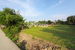 Dijual Tanah di Babelan Bekasi Luas 2478m2 SHM Dijual Tanah di Babelan Bekasi Luas 2478m2 SHM