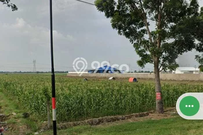 Kavling Tanah Dijual di Ketanggungan, Brebes, Luas 20000m2 Area Strategis Kavling Tanah Dijual di Ketanggungan, Brebes, Luas 20000m2 Area Strategis