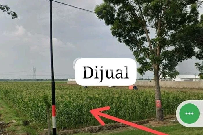 Kavling Tanah Dijual di Ketanggungan, Brebes, Luas 20000m2 Area Strategis Kavling Tanah Dijual di Ketanggungan, Brebes, Luas 20000m2 Area Strategis