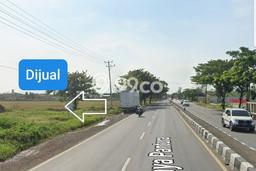 Lahan Investasi Lokasi Losarang Indramayu SHM Lahan Investasi Lokasi Losarang Indramayu SHM