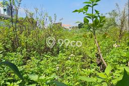 Tanah Kavling Dijual di Gajahmada, Semarang dengan Luas Tanah 1705m2 Tanah Kavling Dijual di Gajahmada, Semarang dengan Luas Tanah 1705m2