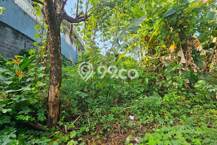 Lahan untuk Dijual Lokasi Gajah Mungkur, Semarang Luas 1154m2 SHM Lahan untuk Dijual Lokasi Gajah Mungkur, Semarang Luas 1154m2 SHM