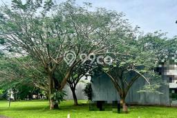 Dijual Tanah 352m2 di BSD De Park, Tangerang Dijual Tanah 352m2 di BSD De Park, Tangerang