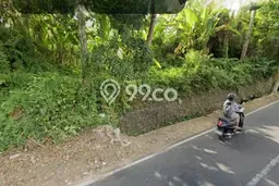Tanah di Gianyar, Gianyar Luas 260000m2 Dijual Segera Tanah di Gianyar, Gianyar Luas 260000m2 Dijual Segera
