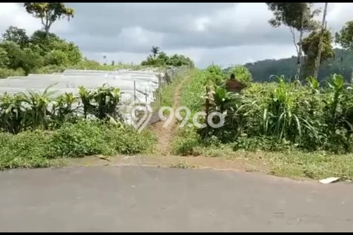Tanah untuk Dijual Lokasi Banjar, Buleleng Luas 20330m2 SHM Tanah untuk Dijual Lokasi Banjar, Buleleng Luas 20330m2 SHM