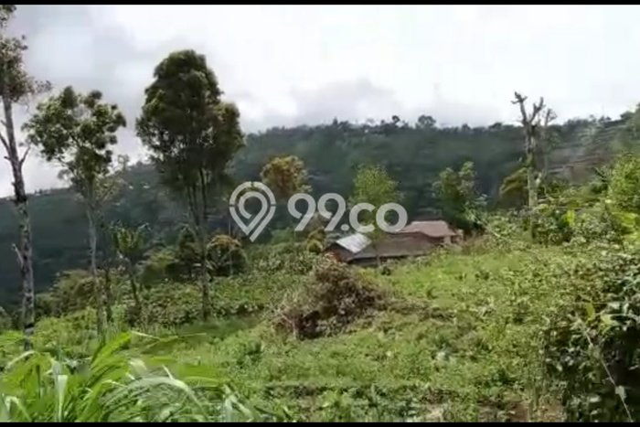 Tanah untuk Dijual Lokasi Banjar, Buleleng Luas 20330m2 SHM Tanah untuk Dijual Lokasi Banjar, Buleleng Luas 20330m2 SHM