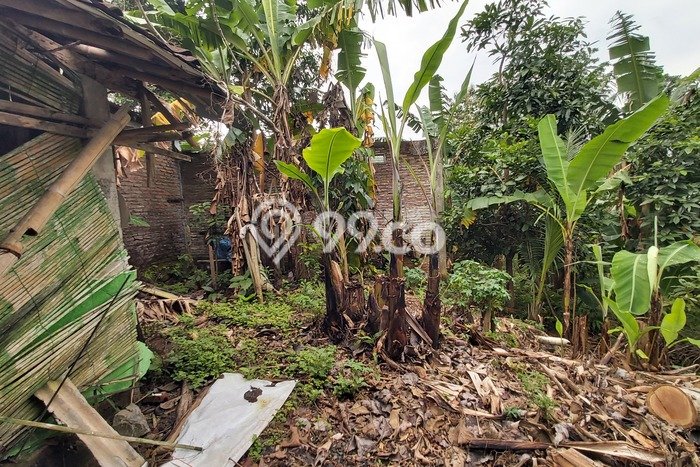 Siap Huni Rumah Mewah 17 Kamar di Gunung Pati Dekat ke Mana Pun Siap Huni Rumah Mewah 17 Kamar di Gunung Pati Dekat ke Mana Pun