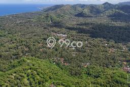 Lahan Dijual Lokasi Manggis, Karangasem dengan Luas Tanah 10000m2 dan Status SHM Lahan Dijual Lokasi Manggis, Karangasem dengan Luas Tanah 10000m2 dan Status SHM