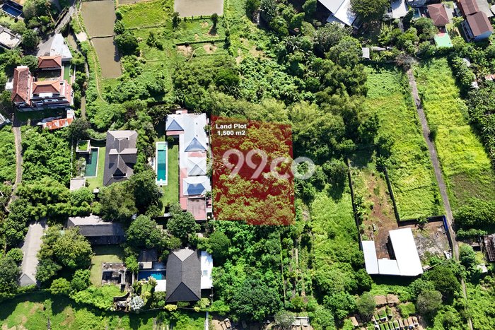Tanah Kavling Dijual di Gianyar dengan Spesifikasi 1500m2 Tanah Kavling Dijual di Gianyar dengan Spesifikasi 1500m2