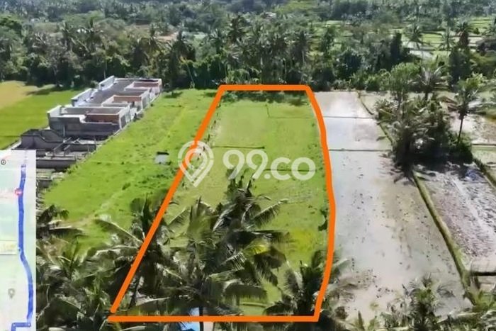 Jarang Ada! Tanah Kavling Disewakan di Gianyar 3100m2 Jarang Ada! Tanah Kavling Disewakan di Gianyar 3100m2